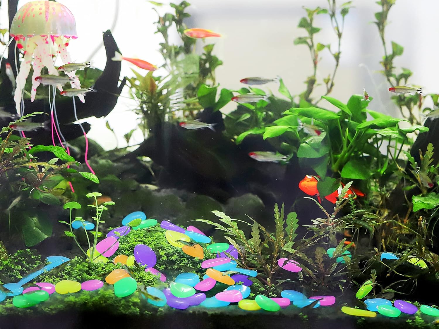 Luminous Stones – Mixed Color Glow Stones (150 pcs)